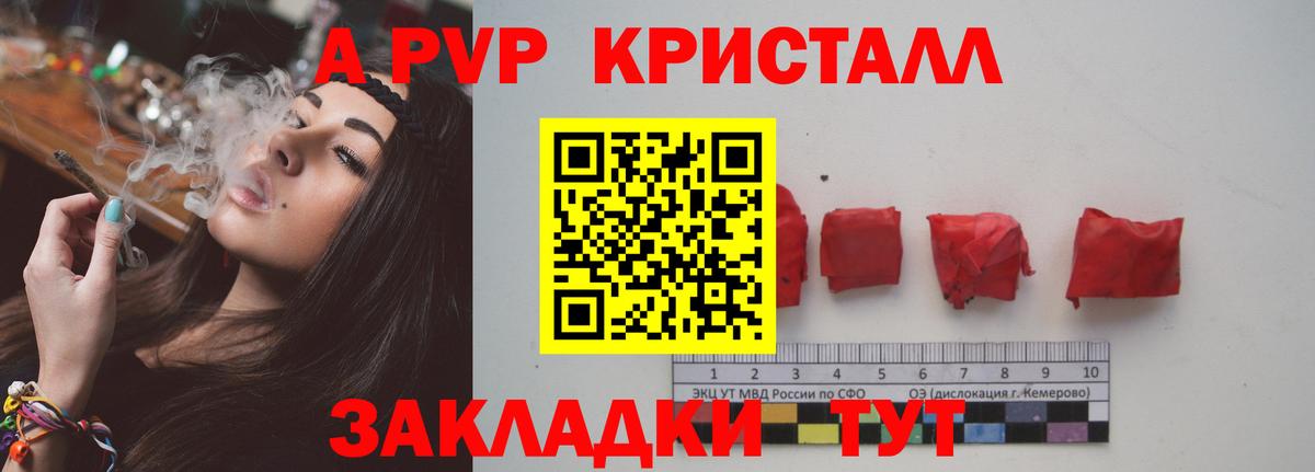 A-PVP СК КРИС Орехово-Зуево